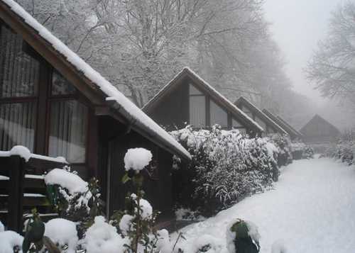 Click picture for website.