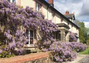 Click picture for website