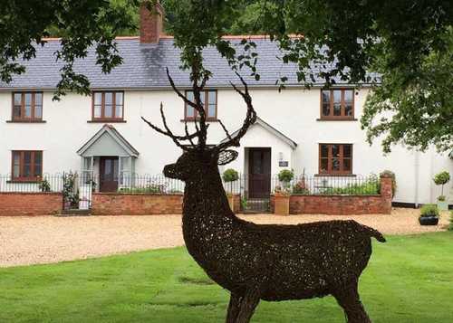 Click on picture for website